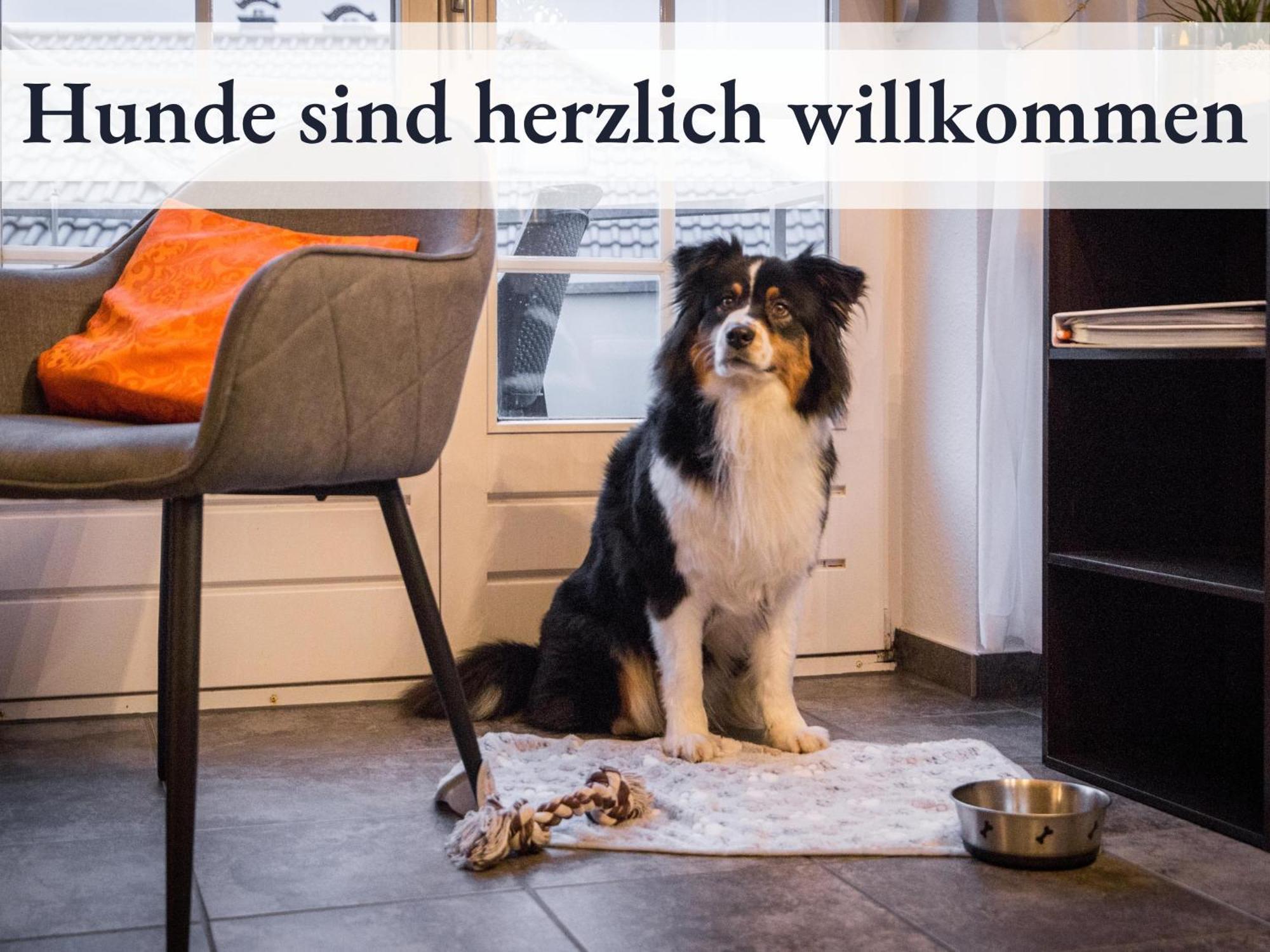 Blumenvilla 1 Mit Begehbarer Dusche, Sauna Und Garten Schneverdingen Zewnętrze zdjęcie
